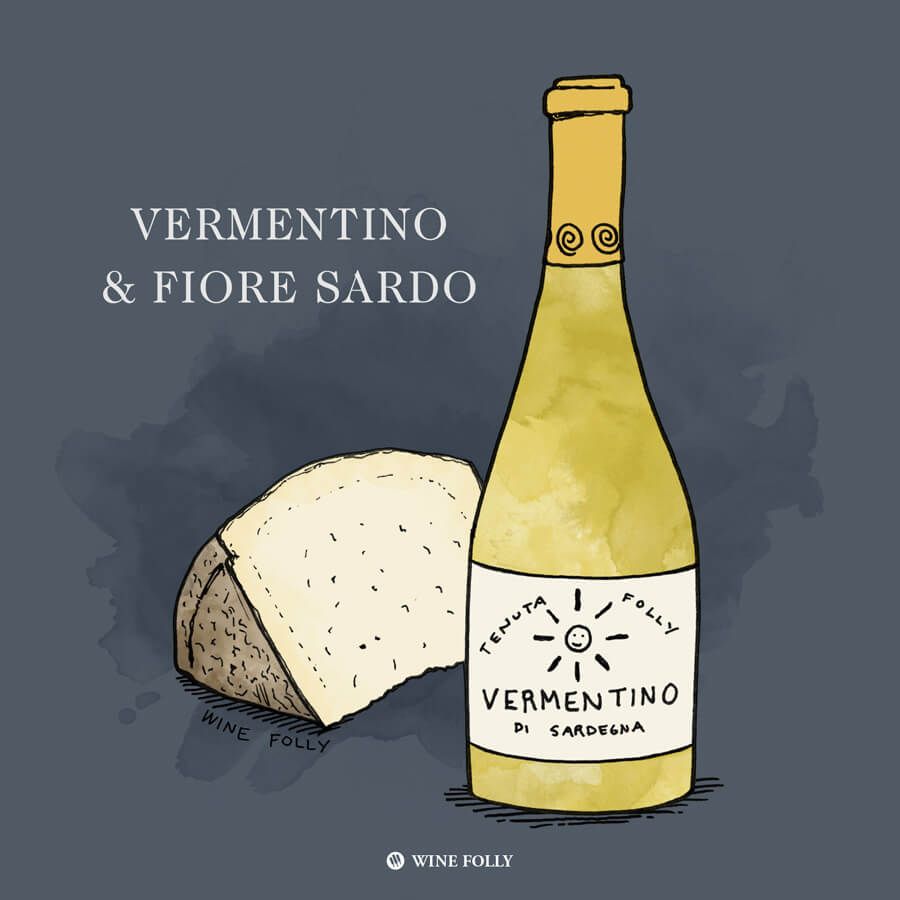 vermentino-fiore-sardo-cheese-pairing-winefolly-ilustrasyon