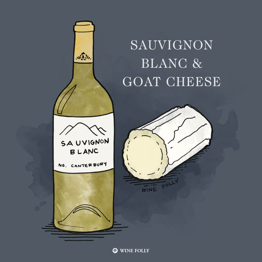 sauvignon-blanc-ožkos-sūrio-poravimo-iliustracija