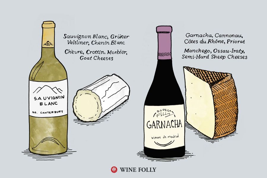 garnacha-manchego-sauvignon-blanc-chevre-cheese-pairing-winefolly