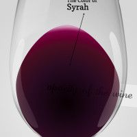 Цветът на Сира в чаша за вино
