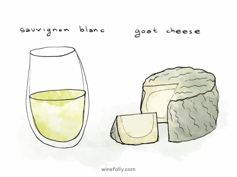 sauvignon-blanc-vynas-ožkos sūris